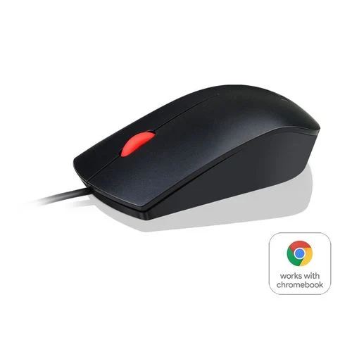 ציוד קלט Lenovo Essential USB Mouse 4Y50R20863