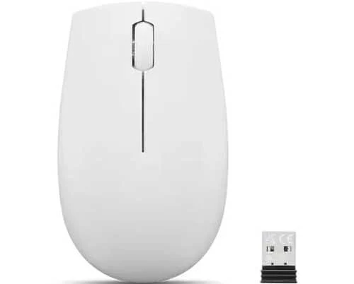 ציוד קלט Lenovo 300 WIRELESS COMPACT MOUSE CLOUD GREY 1Y