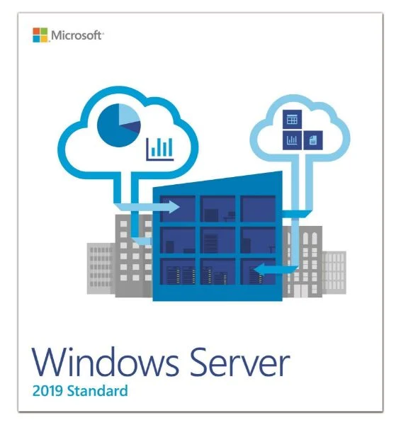 רישיון לשרת Microsoft Windows Svr Std 2019 English 1pk DSP OEI 4Cr NoMedia/NoKey (APOS) AddLic