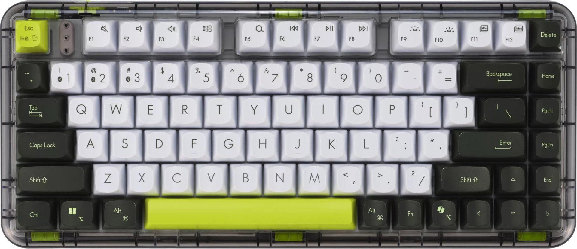 ציוד קלט ASUS Jelly75