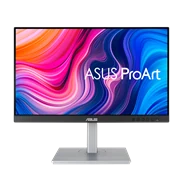 מסך מחשב ASUS PA247CV