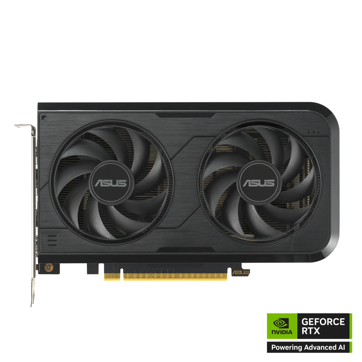 כרטיס מסך ASUS DUAL RTX5050 O8G